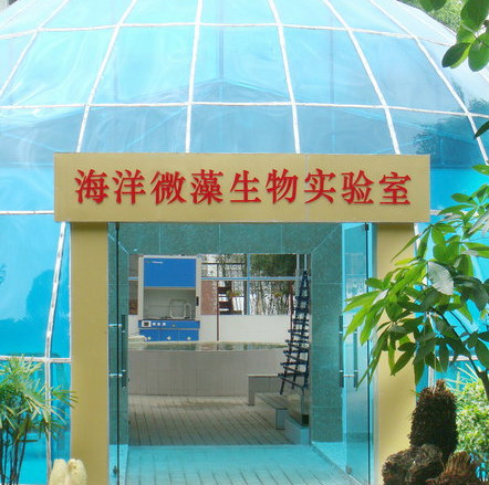 深圳市科仙生物能源研究所 以科技服務驅動生物能源創新研究