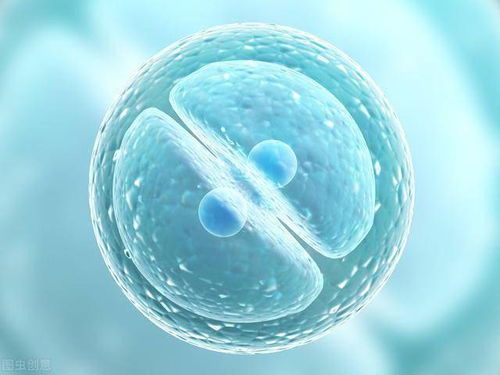 探索生命前沿 近期生物科技領(lǐng)域的五大研究趨勢(shì)
